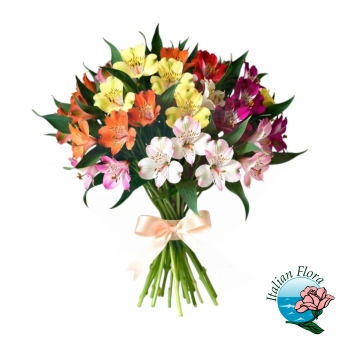 Bouquet di Astromerie colorate